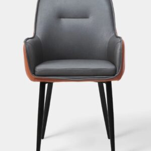 Jayden Leatherette Arm Chair In Black And Brown Color