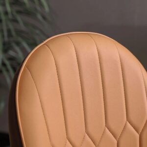 Gatiman Leatherette Dining Chair In Tan & Orange Colour