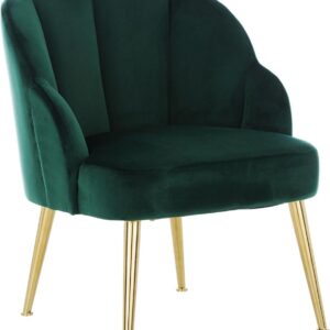 DINNING CHAIR IN GREEN COLOUR