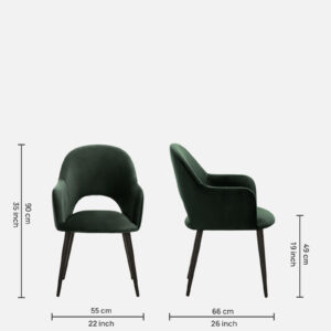 Rams Arm chair with green and black color